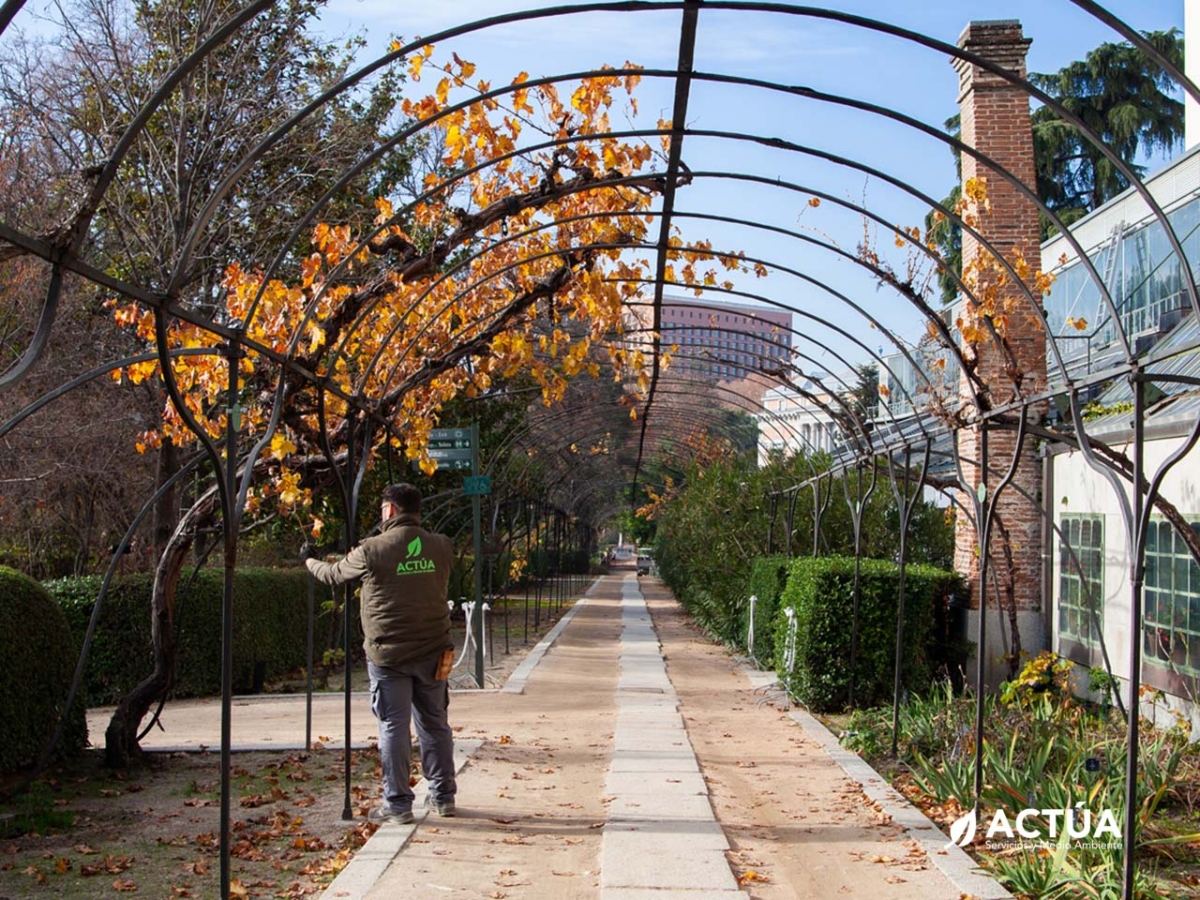 Mantenimiento de Jardines y Espacios Verdes - Actúa, Servicios y Medio