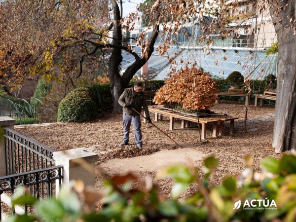 Mantenimiento de Jardines y Espacios Verdes - Actúa, Servicios y Medio