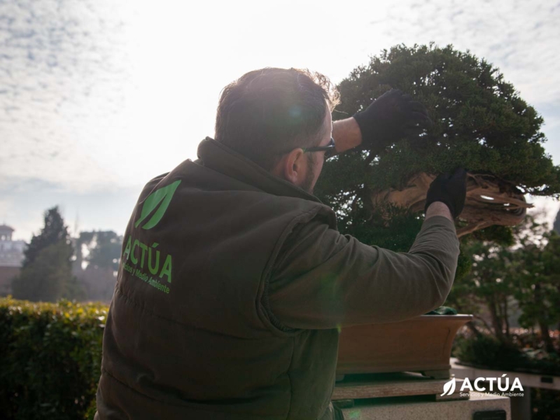 Mantenimiento de Jardines y Espacios Verdes - Actúa, Servicios y Medio