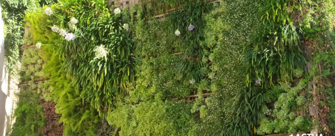Actúa SM se inspira en los diseños del paisajista Burle Marx para restaurar el Jardín Vertical de Ontinyent