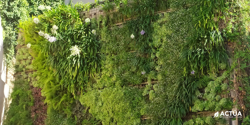 Actúa SM se inspira en los diseños del paisajista Burle Marx para restaurar el Jardín Vertical de Ontinyent