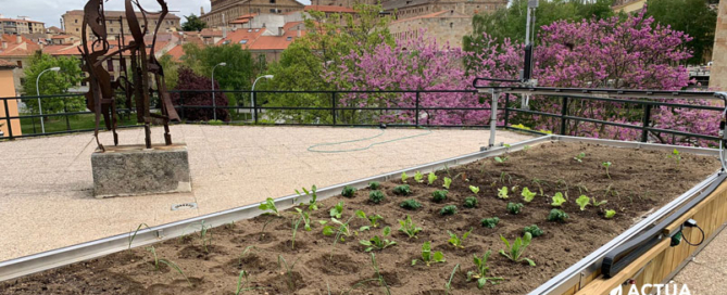 Actúa participa en el proyecto de huerto robotizado de la Universidad de Salamanca