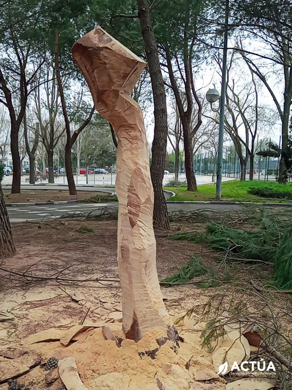 Sergio Carchenilla, el escultor de los árboles caídos