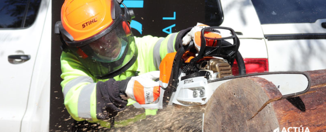 Actúa forma a los trabajadores encargados de zonas verdes en tecnología respetuosa con el medio ambiente