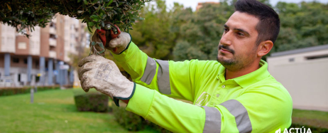 Actúa Servicios y Medio Ambiente se adhiere a la Asociación Española de Arboricultura