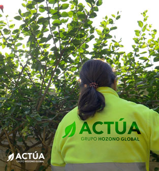 ‘Murcia, alegría huertana' llenará de actividades la plaza Circular para rendir homenaje a las tradiciones