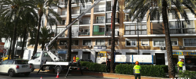 Actúa duplicará el número de profesionales del servicio de mantenimiento del arbolado de Denia