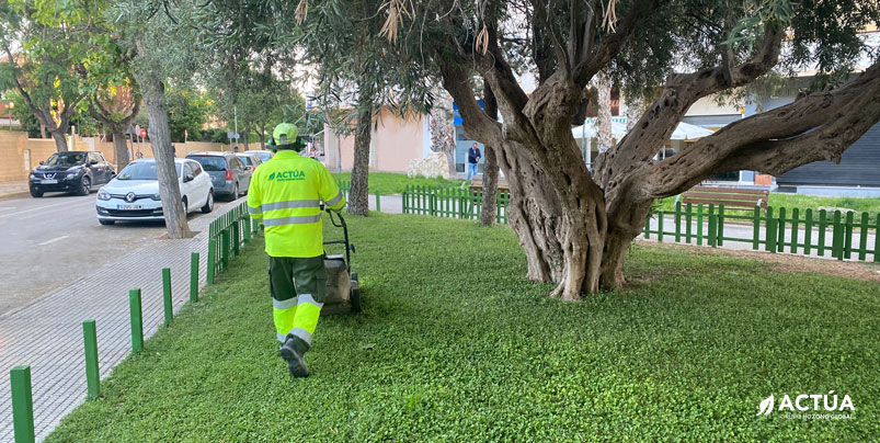 Sant Joan d'Alacant renueva su confianza en Actúa para la conservación de las zonas verdes del municipio