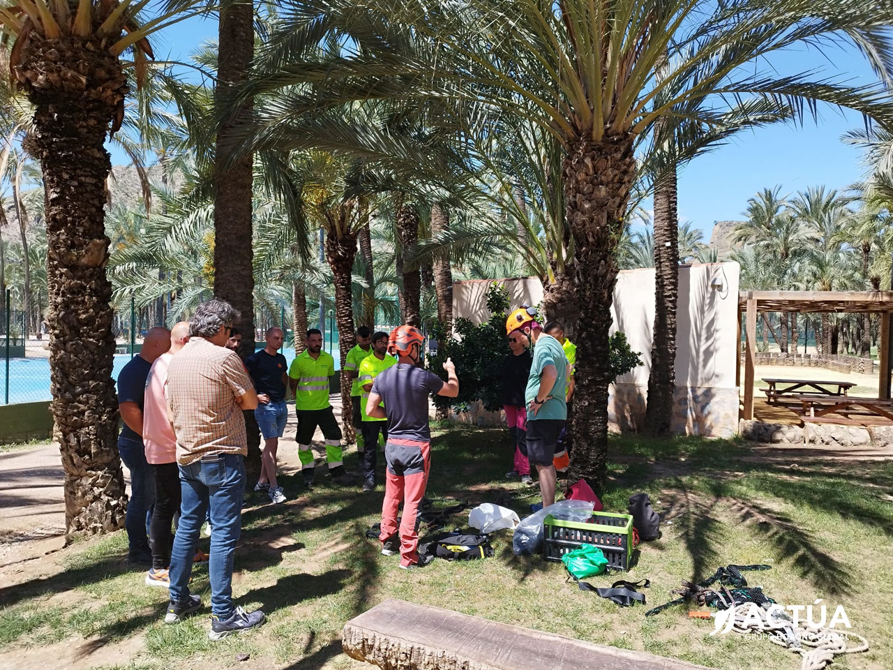 Profesionales de Actúa se forman en mantenimiento de palmeras con expertos certificados como European Tree Worker