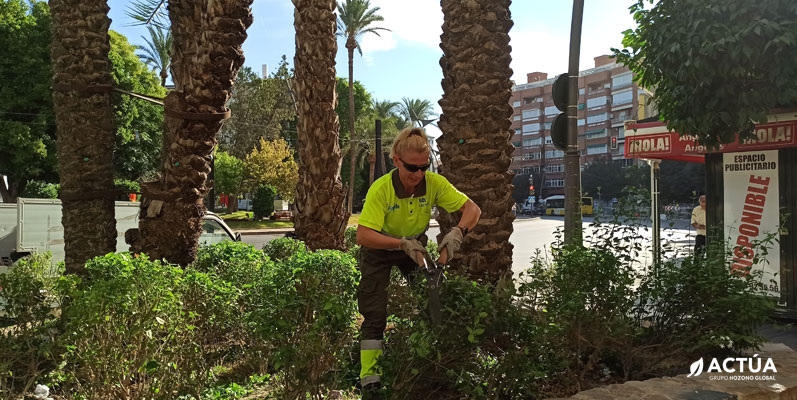 Actúa suministra más de 120.000 plantas en flor para embellecer Murcia de cara a la Feria de Septiembre