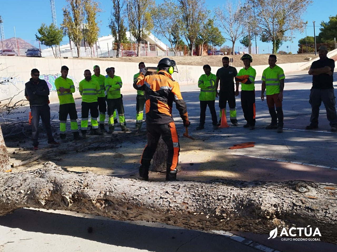 Profesionales de Actúa se forman en tala de árboles para mejorar la gestión sostenible del arbolado urbano