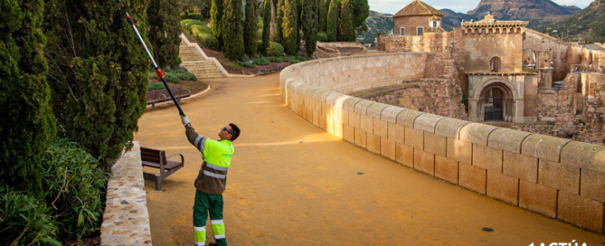 Los jardineros de Cartagena se forman en especies exóticas invasoras