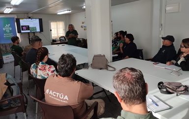 Los jardineros de Cartagena se forman en especies exóticas invasoras