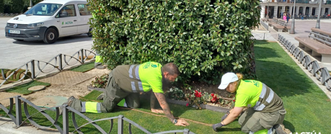 Actúa renueva el contrato del mantenimiento de zonas verdes en Torrejón de Ardoz