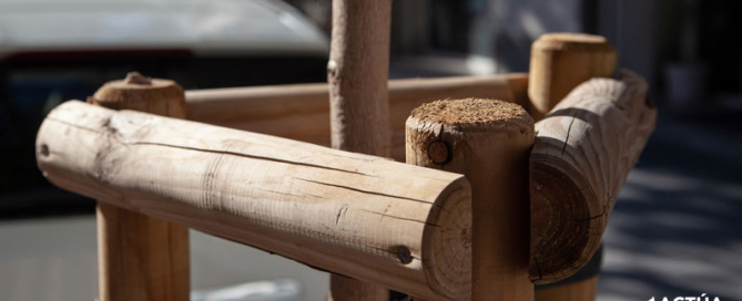 Actúa replanta más de un centenar de árboles en San Juan de Alicante