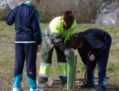 Escolares de Valladolid se suman a la reforestación del Parque de las Contiendas junto a profesionales de Actúa