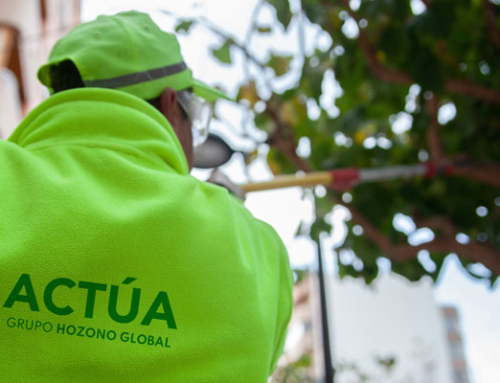 Sant Joan d’Alacant emplea la lucha biológica para proteger el arbolado urbano