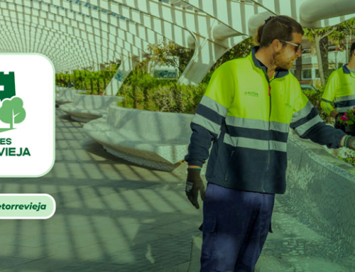 Jardines de Torrevieja estrena sus redes sociales para contar el día a día