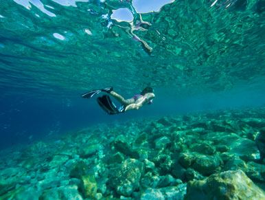Villajoyosa organiza una ruta de snorkel para poner en valor las playas urbanas como ecosistemas naturales
