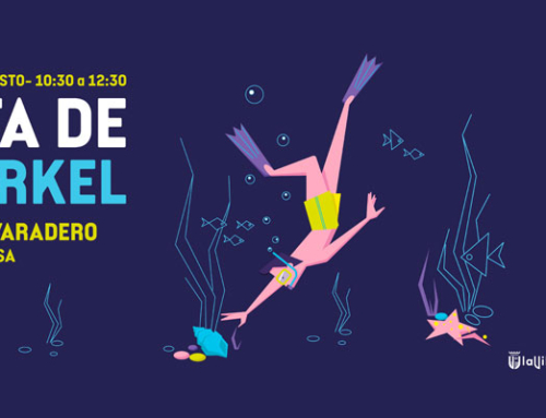 Villajoyosa organiza una ruta de snorkel para poner en valor las playas urbanas como ecosistemas naturales