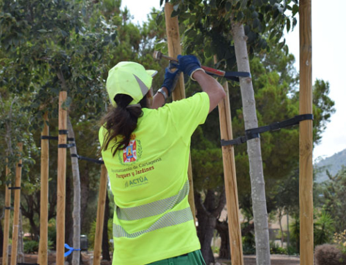 Más de 250 árboles nuevos refuerzan el arbolado urbano de Cartagena en lo que va de año