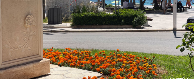 Torrevieja continúa mejorando sus zonas verdes con actuaciones de mantenimiento y renovación