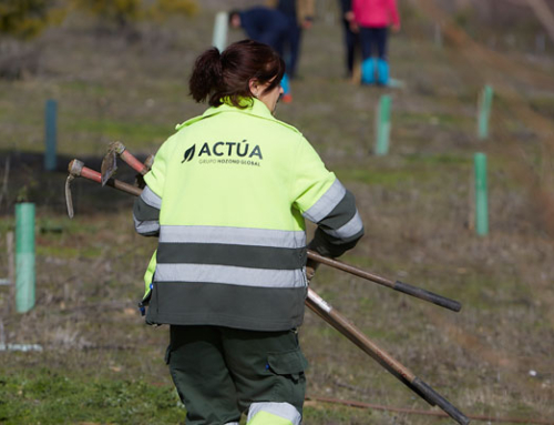 Valladolid seguirá contando con un servicio sostenible para el mantenimiento de parques y jardines