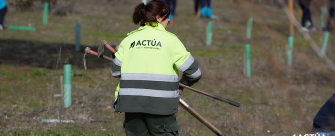 Valladolid seguirá contando con un servicio sostenible para el mantenimiento de parques y jardines