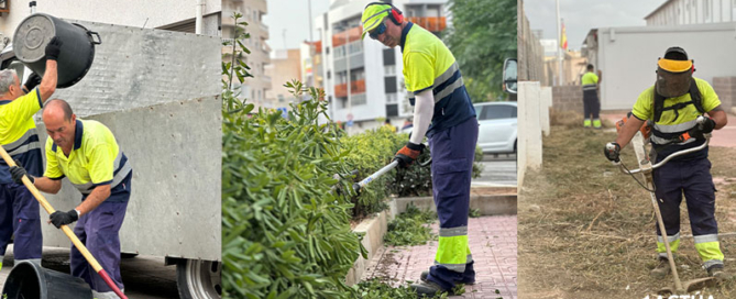 Actúa acondiciona las zonas verdes de los colegios públicos de Torrevieja para el inicio del curso