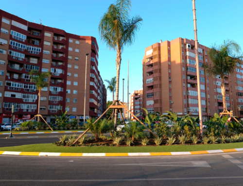 Actúa renueva integralmente la Plaza Alicante de Cartagena para embellecer la entrada a la ciudad
