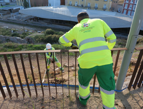 El Ayuntamiento de Cartagena restaura el talud del Molinete con especies autóctonas