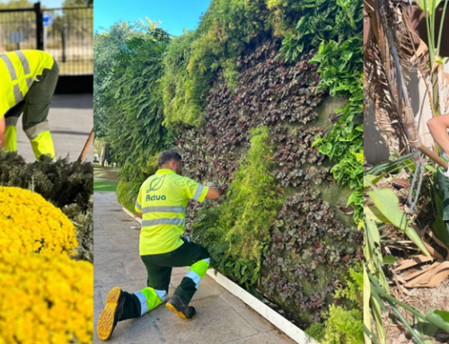 Benidorm avanza hacia una ciudad más verde y sostenible con el nuevo servicio de mantenimiento de zonas verdes