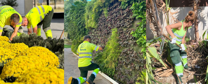 Benidorm avanza hacia una ciudad más verde y sostenible con el nuevo servicio de mantenimiento de zonas verdes