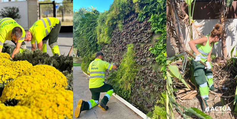 Benidorm avanza hacia una ciudad más verde y sostenible con el nuevo servicio de mantenimiento de zonas verdes