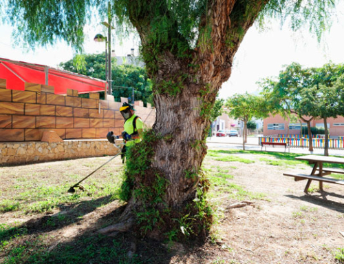 Cartagena refuerza el mantenimiento y embellecimiento de sus barrios para mejorar el entorno urbano
