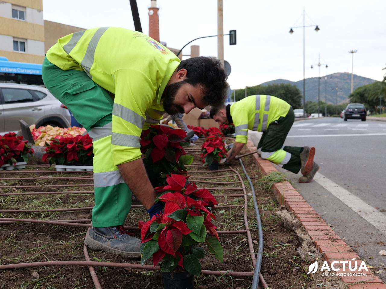 Cartagena se llena de color esta Navidad con 30.000 plantas y decoración sostenible