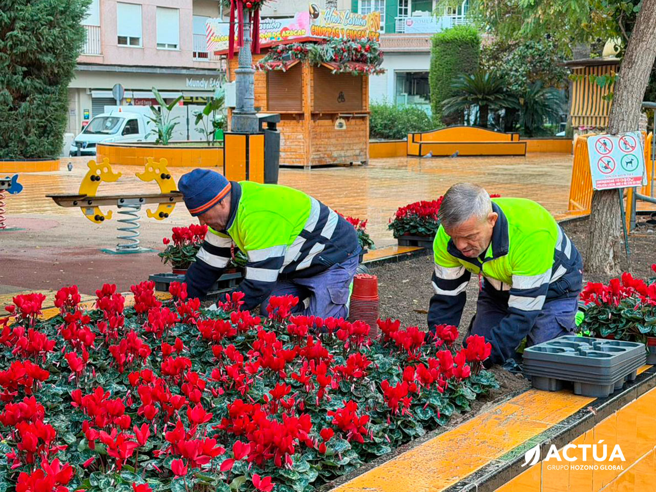 Actúa engalana Torrevieja con miles de flores para recibir la Navidad Actúa engalana Torrevieja con miles de flores para recibir la Navidad