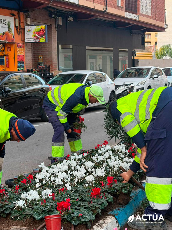 Actúa engalana Torrevieja con miles de flores para recibir la Navidad Actúa engalana Torrevieja con miles de flores para recibir la Navidad