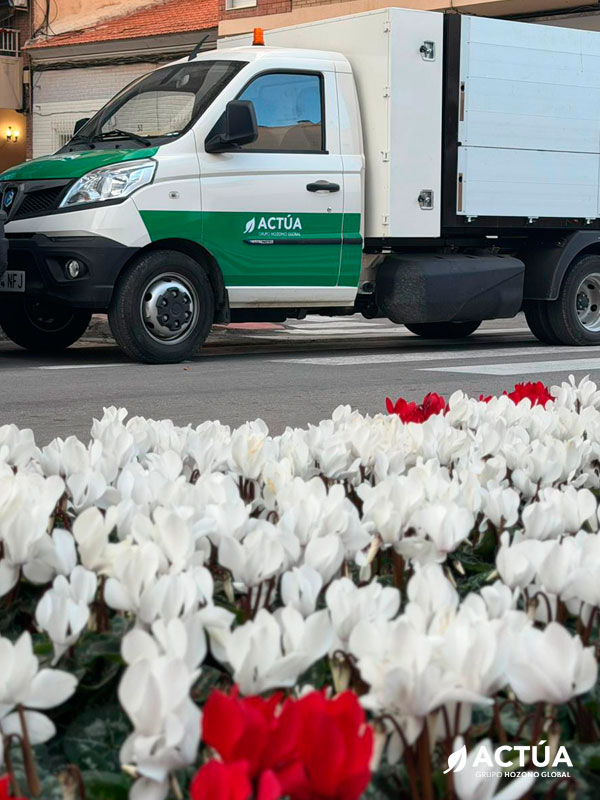 Actúa engalana Torrevieja con miles de flores para recibir la Navidad Actúa engalana Torrevieja con miles de flores para recibir la Navidad