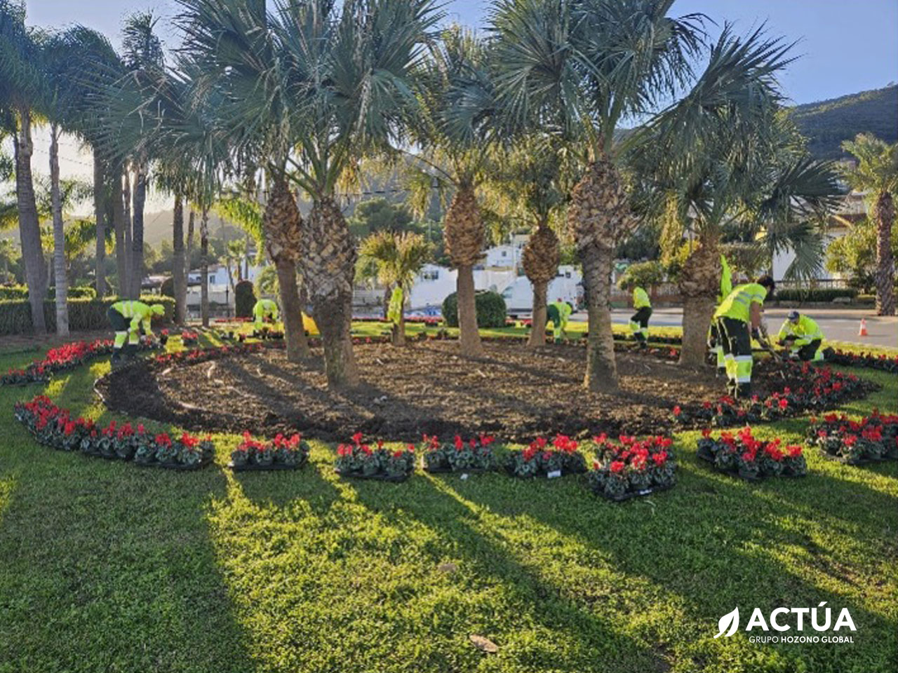 Actúa pone en marcha la campaña de plantación de Navidad en Alhaurín de la Torre Actúa pone en marcha la campaña de plantación de Navidad en Alhaurín de la Torre