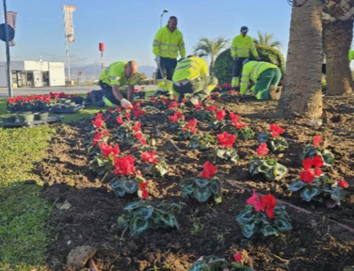 Actúa pone en marcha la campaña de plantación de Navidad en Alhaurín de la Torre