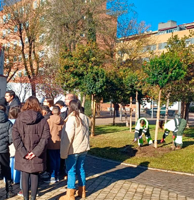 Un nuevo madroño para celebrar la Constitución en Torrejón de Ardoz
