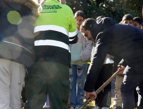 Un nuevo madroño para celebrar la Constitución en Torrejón de Ardoz