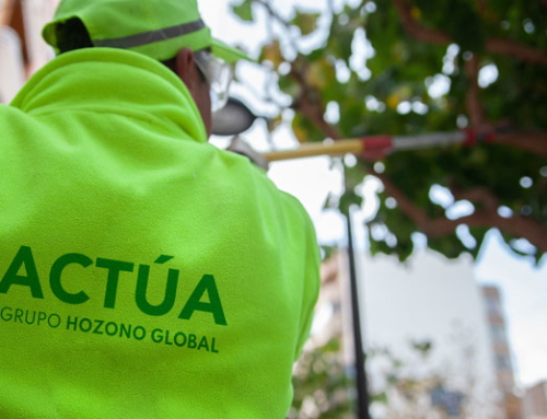 Actúa aborda la gestión del arbolado urbano en Sant Joan d’Alacant