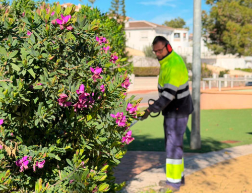 Actúa realiza una actuación integral de mantenimiento en el Parque Reina de la Sal de Torrevieja
