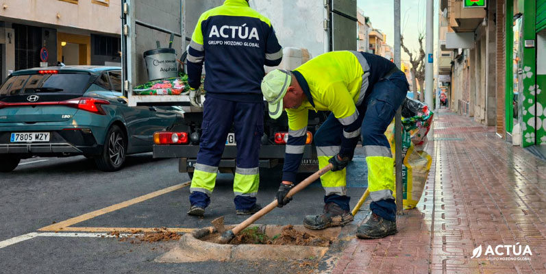 Cerca de medio centenar de nuevos árboles mejoran la sombra y el paisaje urbano en Torrevieja