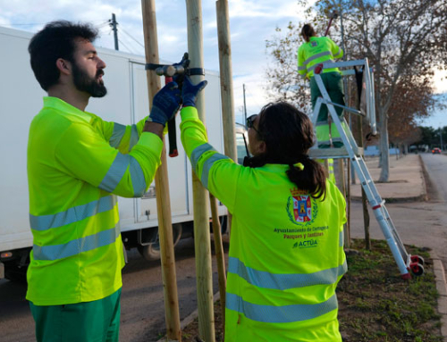El Ayuntamiento de Cartagena plantará más de 90 árboles en La Aparecida, La Palma y Pozo Estrecho