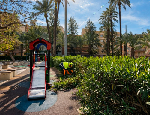 Actúa asume el servicio de conservación y limpieza de zonas verdes en Santa Pola