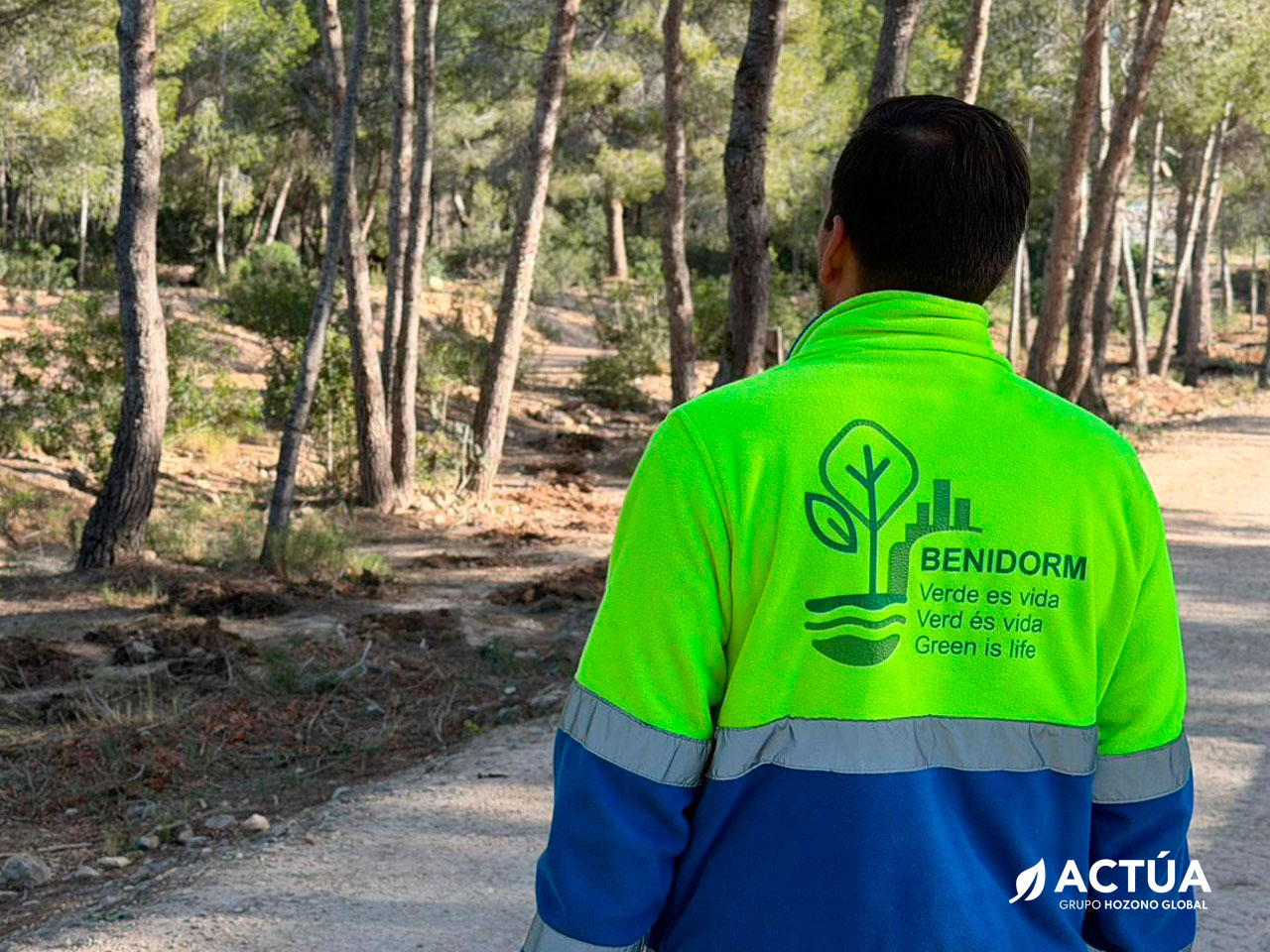 Benidorm celebra el Día del Árbol con la plantación de 300 ejemplares en El Moralet Benidorm celebra el Día del Árbol con la plantación de 300 ejemplares en El Moralet