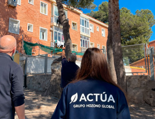 El Ayuntamiento de Cartagena revisa el arbolado de los centros escolares